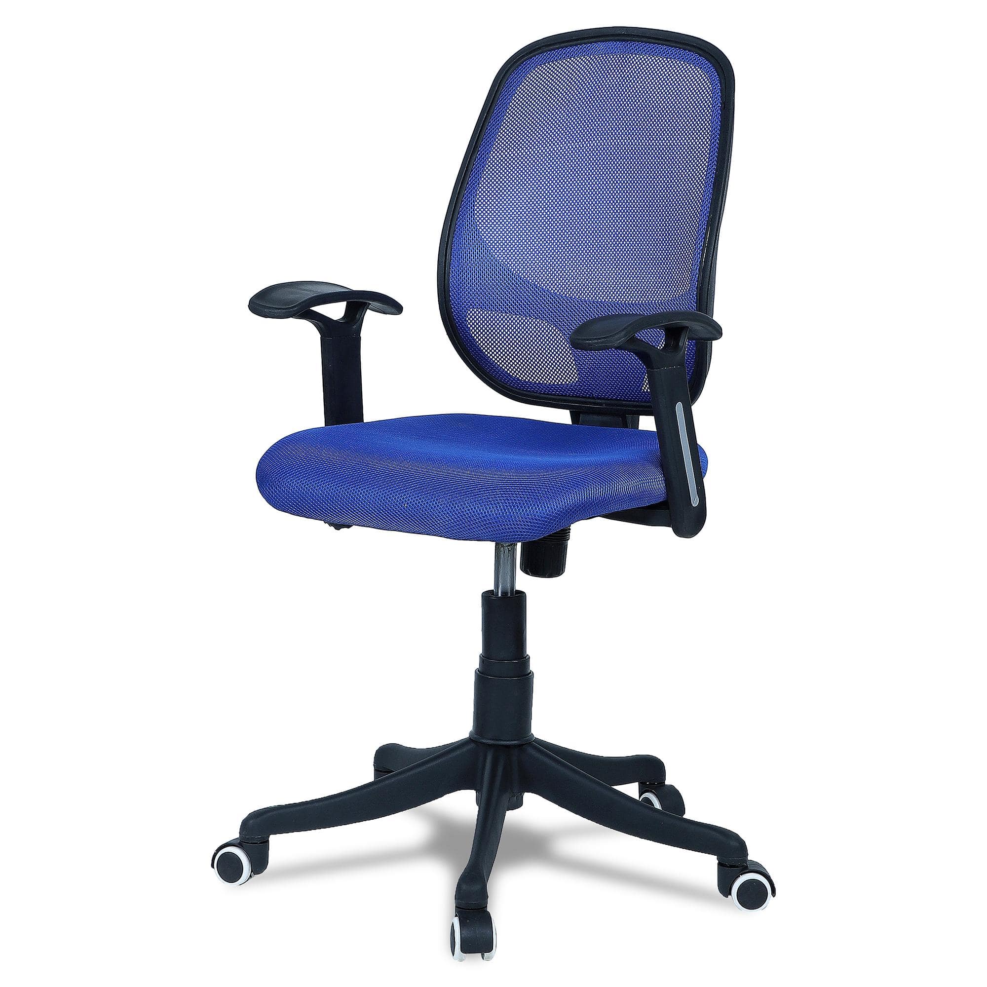 Goolda Low Back Ergonomic Chair in Blue Colour