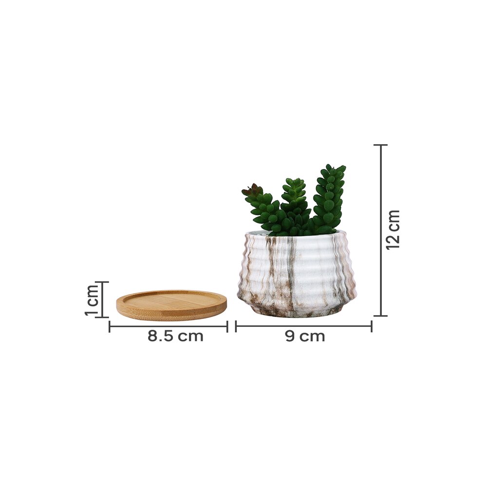 White 1 Pieces Succulent Artificial Plant With Pot