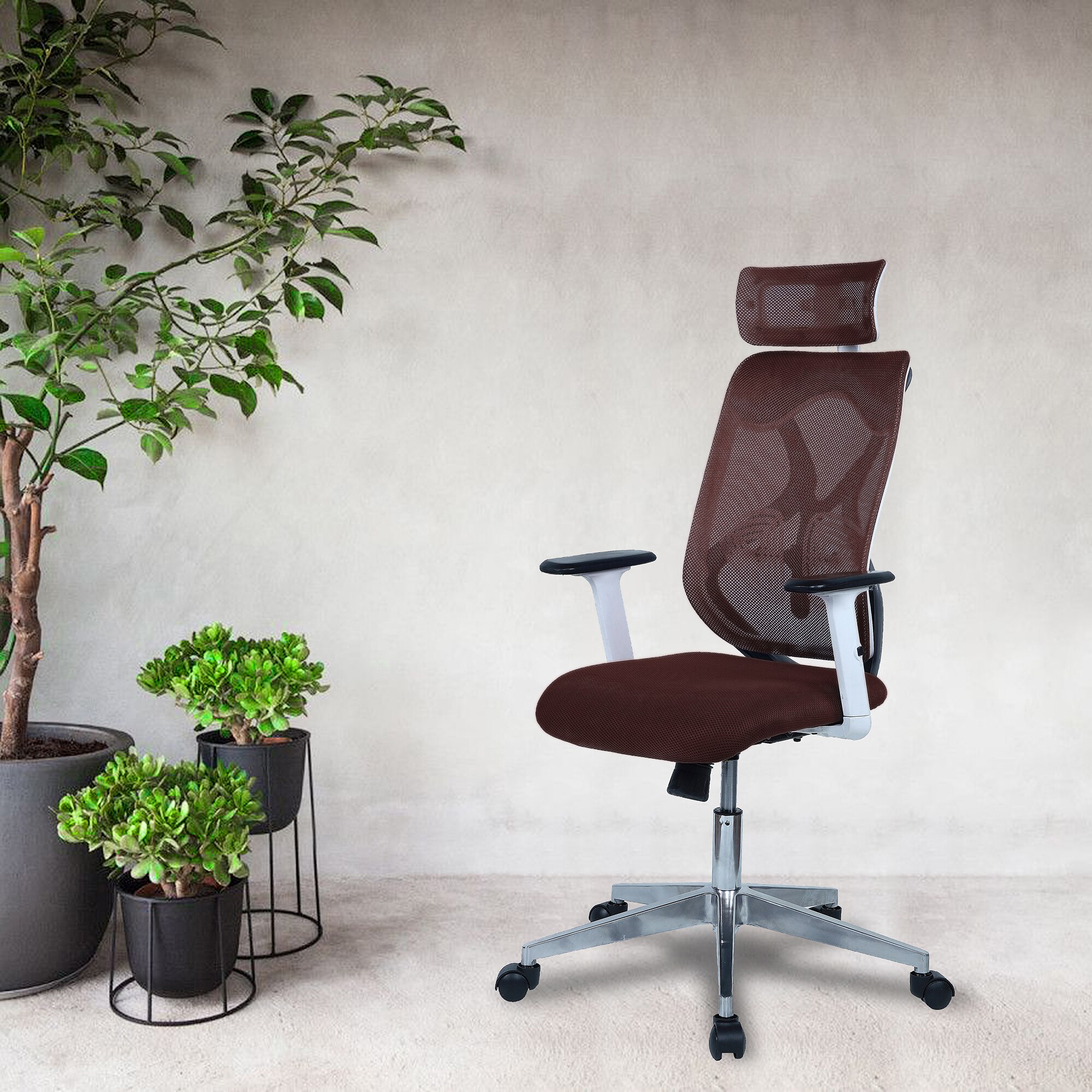 Wiweangs High Back Ergonomic Chair in Brown Colour