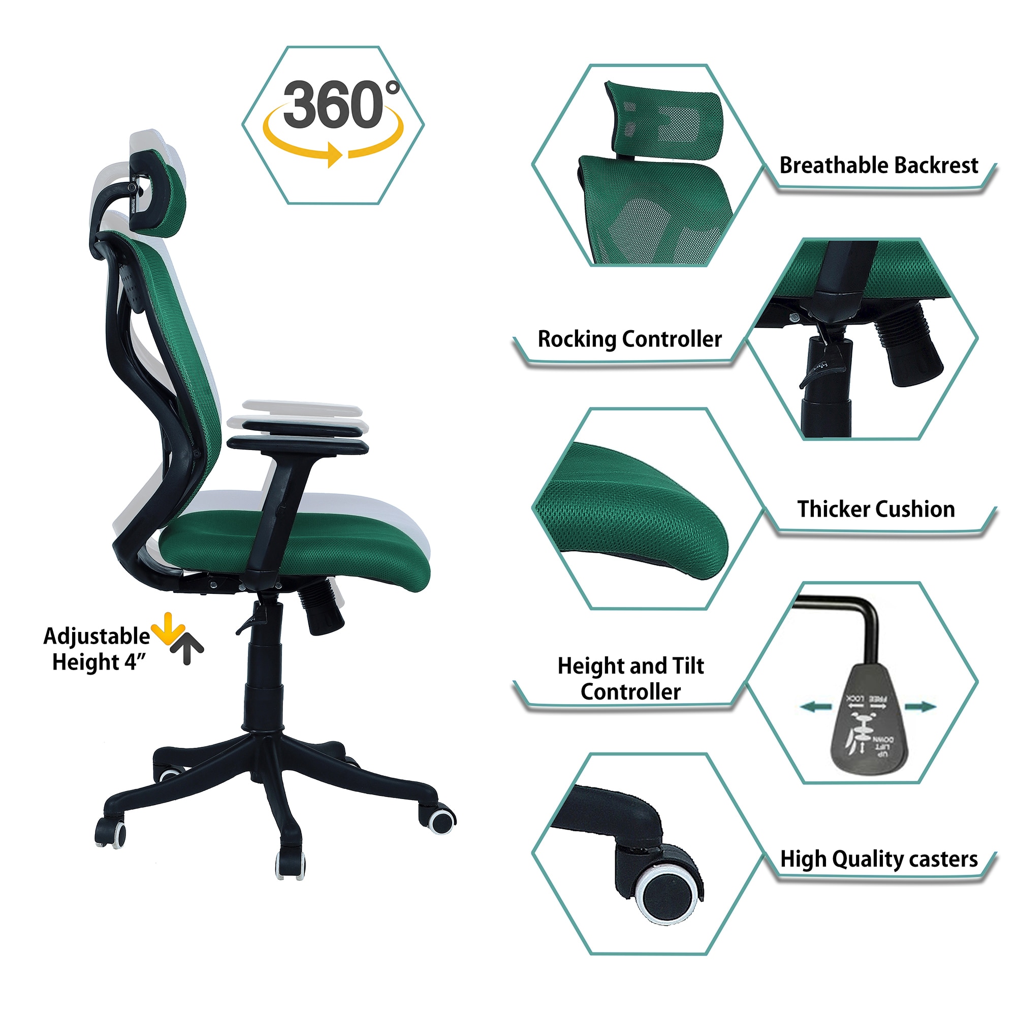 Zeeazyana High Back Ergonomic Chair in Dark Green Colour