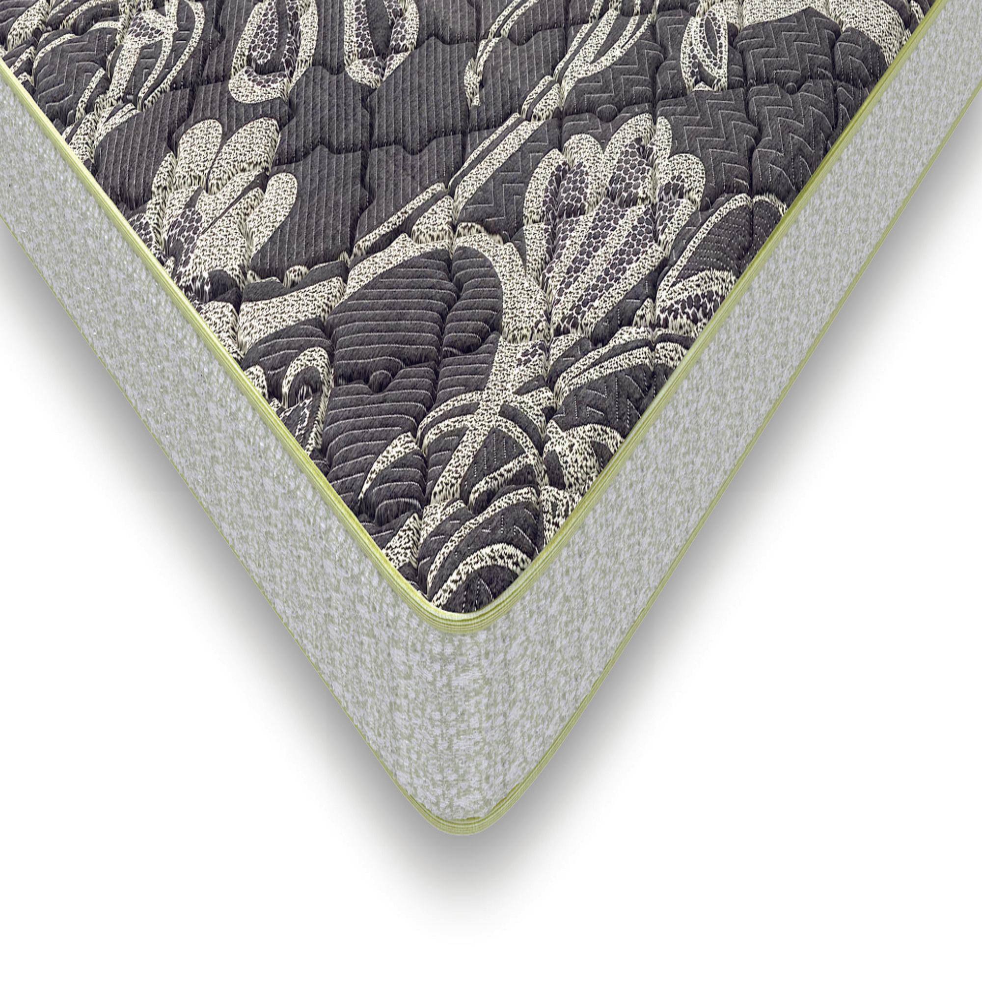 Health Plus Plus Active Orthopaedic Coir Mattress (78 x 30 in, 6 Inches)