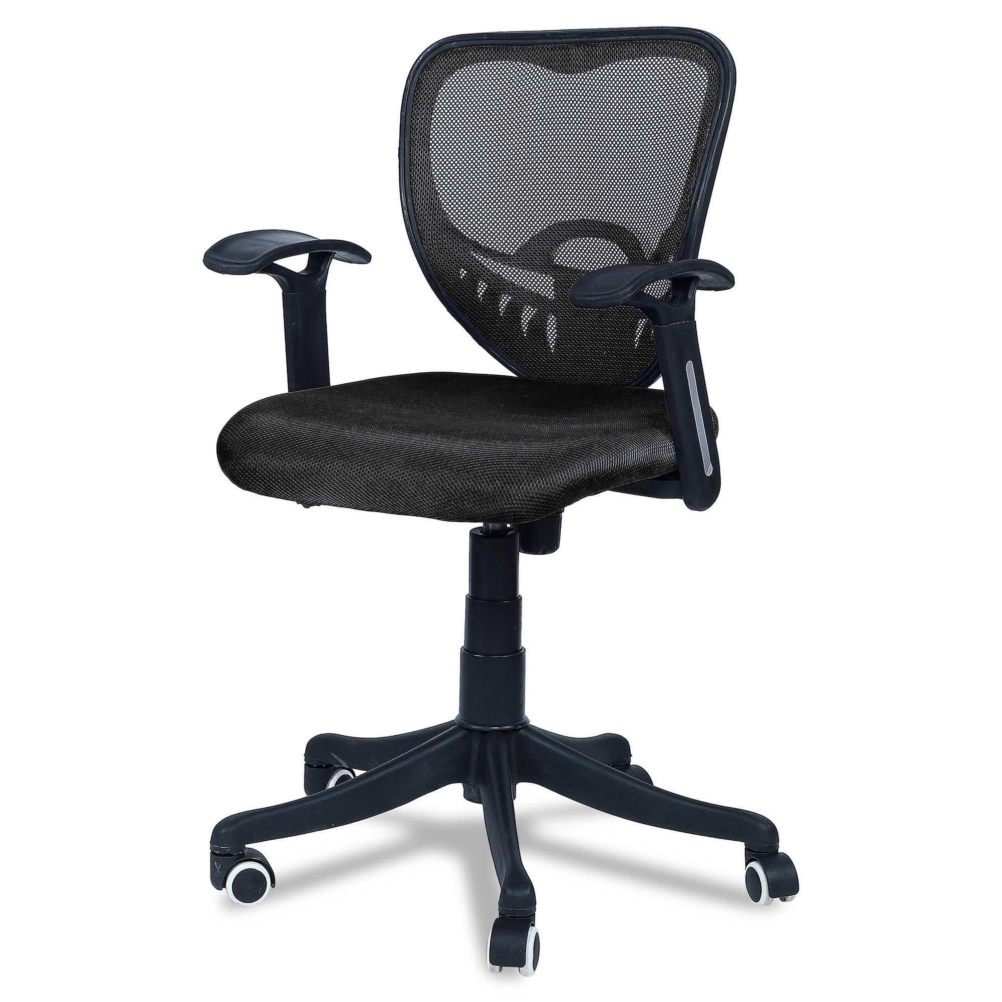 Odrione Low Back Ergonomic Chair in Black Colour