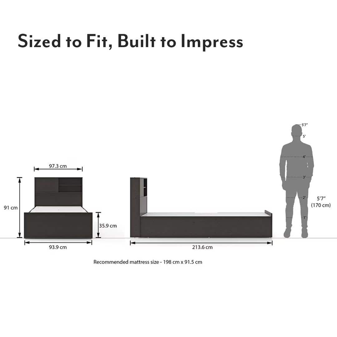 Amy Engineered Wood Single Size Box Storage Bed In Dark Wenge Finish