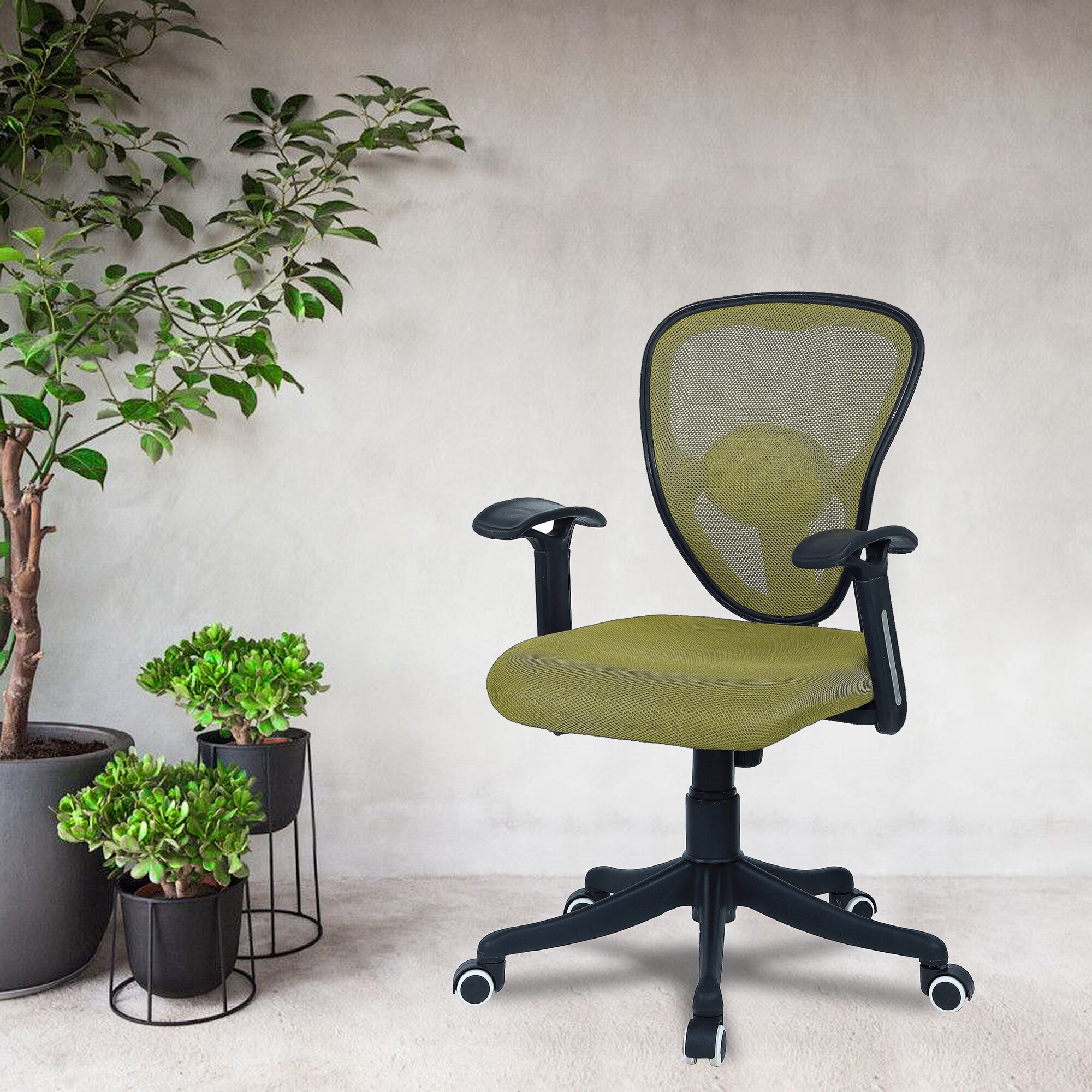 Aaeroa Low Back Ergonomic Chair in Pearl Green Colour