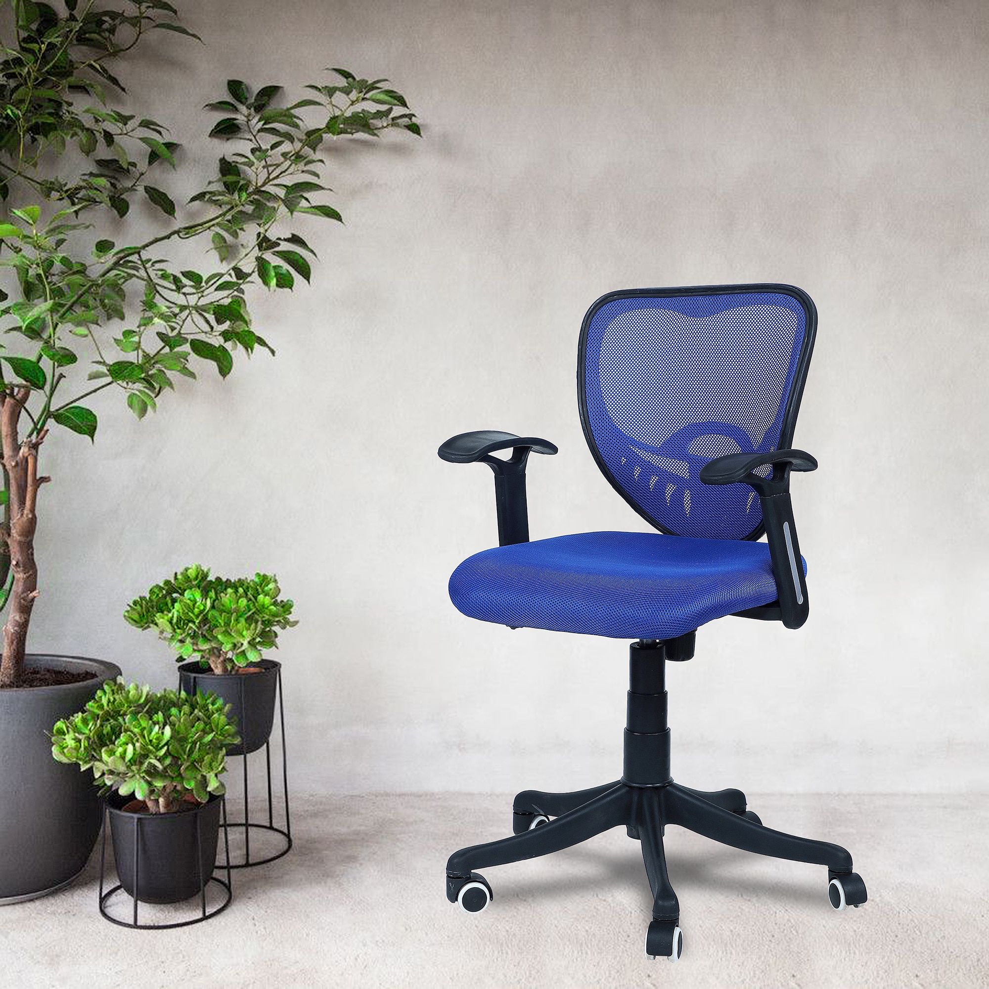 Odrione Low Back Ergonomic Chair in Blue Colour