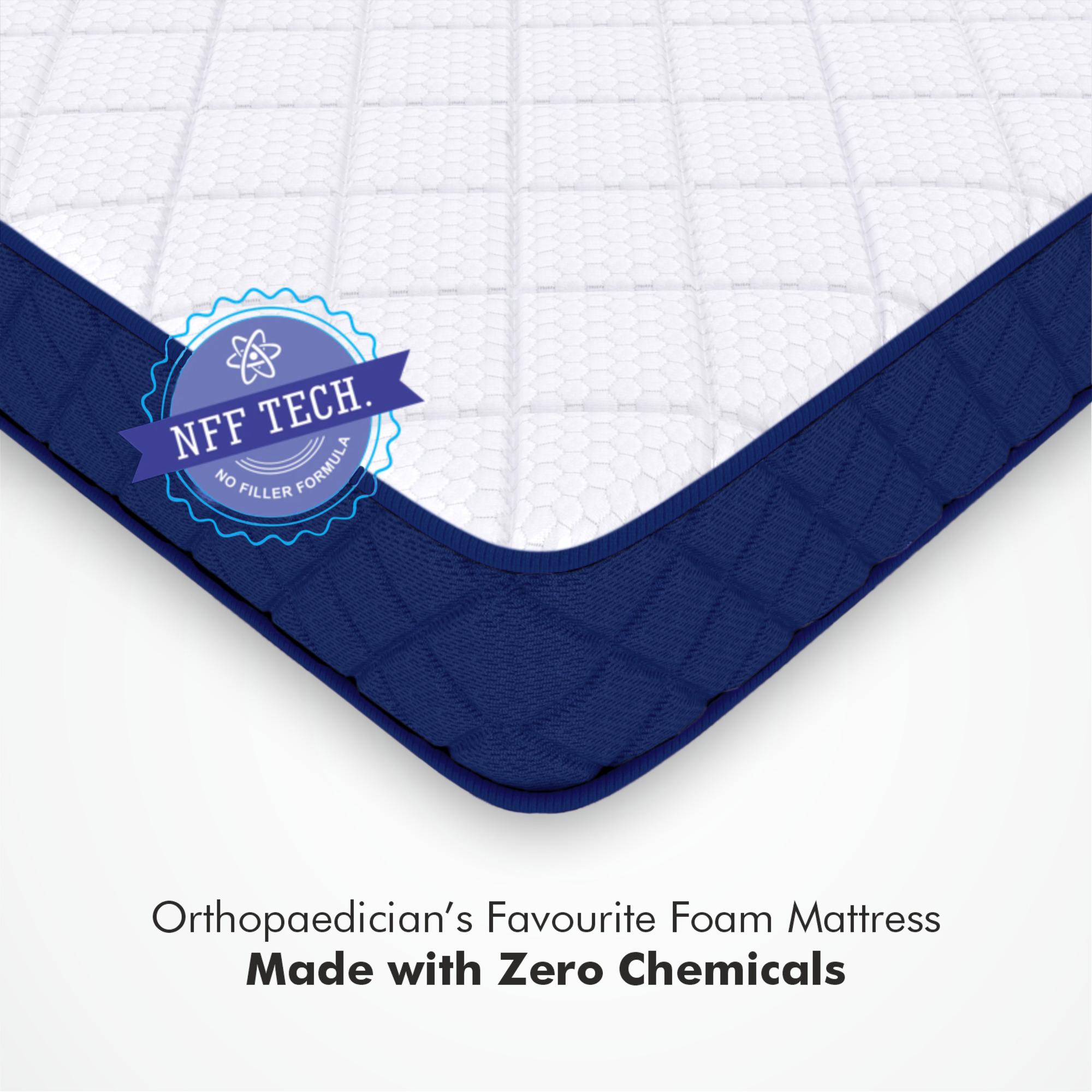 Back Master Biofoam Oragnic Bonded Foam Mattress