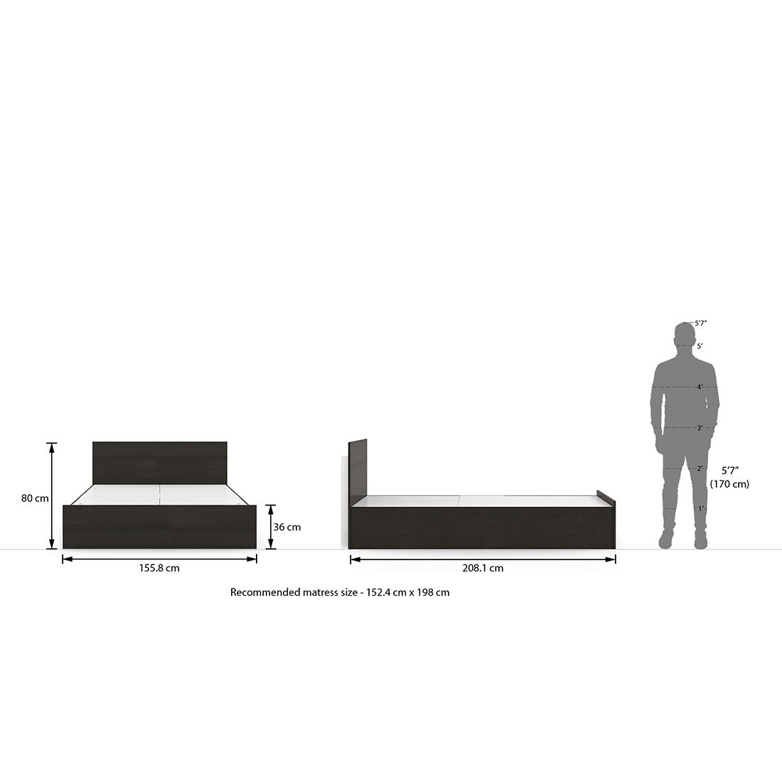 Zoey Engineered Wood Queen Size Box Storage Bed In Dark Wenge Finish