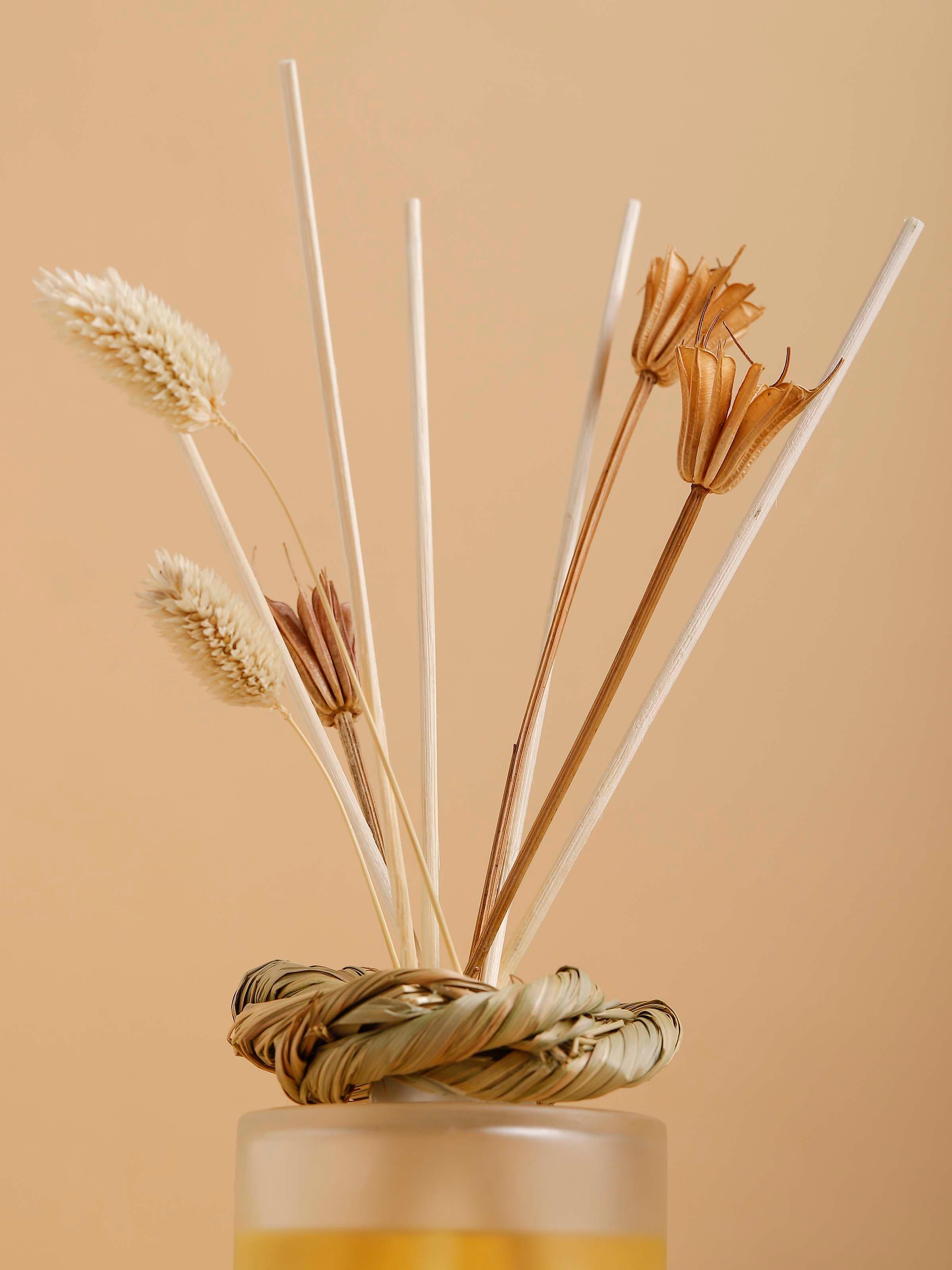 Lemongrass Aroma Reed Diffuser (100 ml)