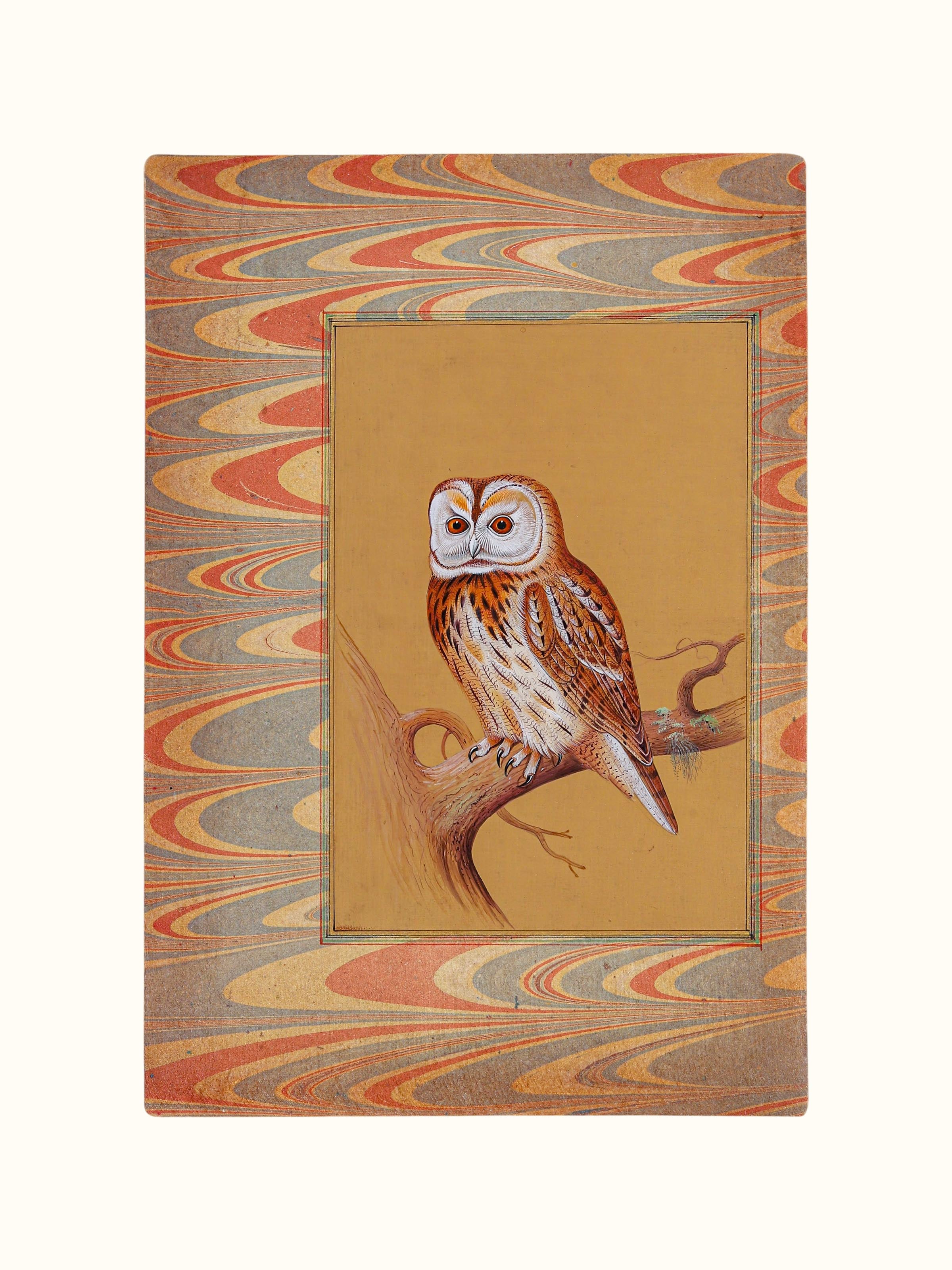 Bird Miniature Painting