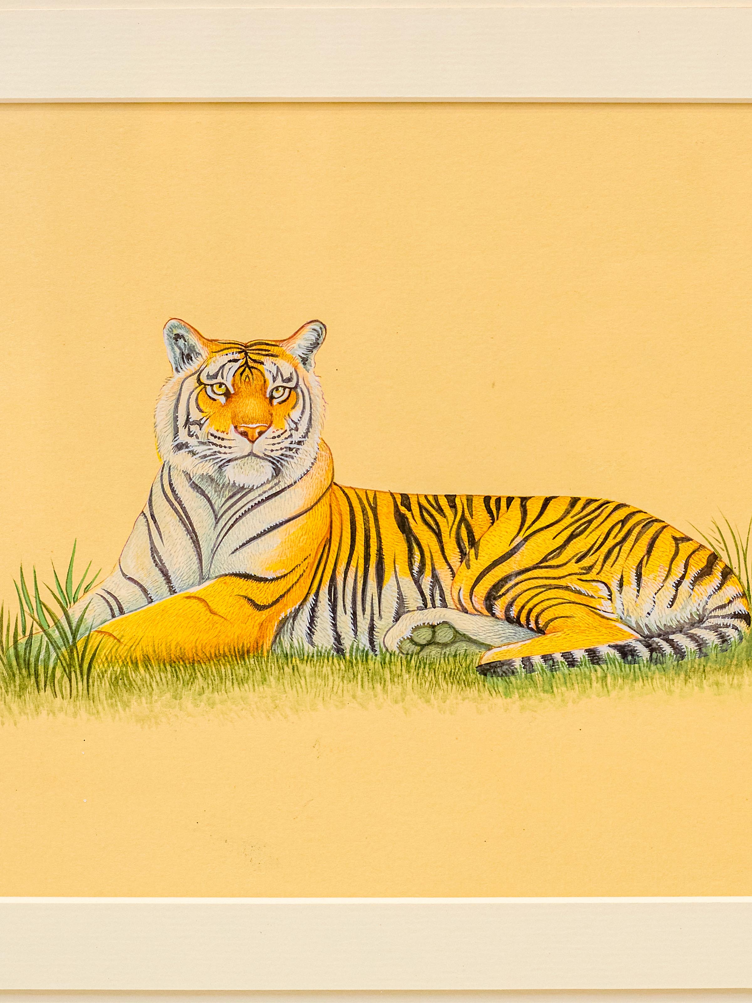 Tiger Miniature Painting