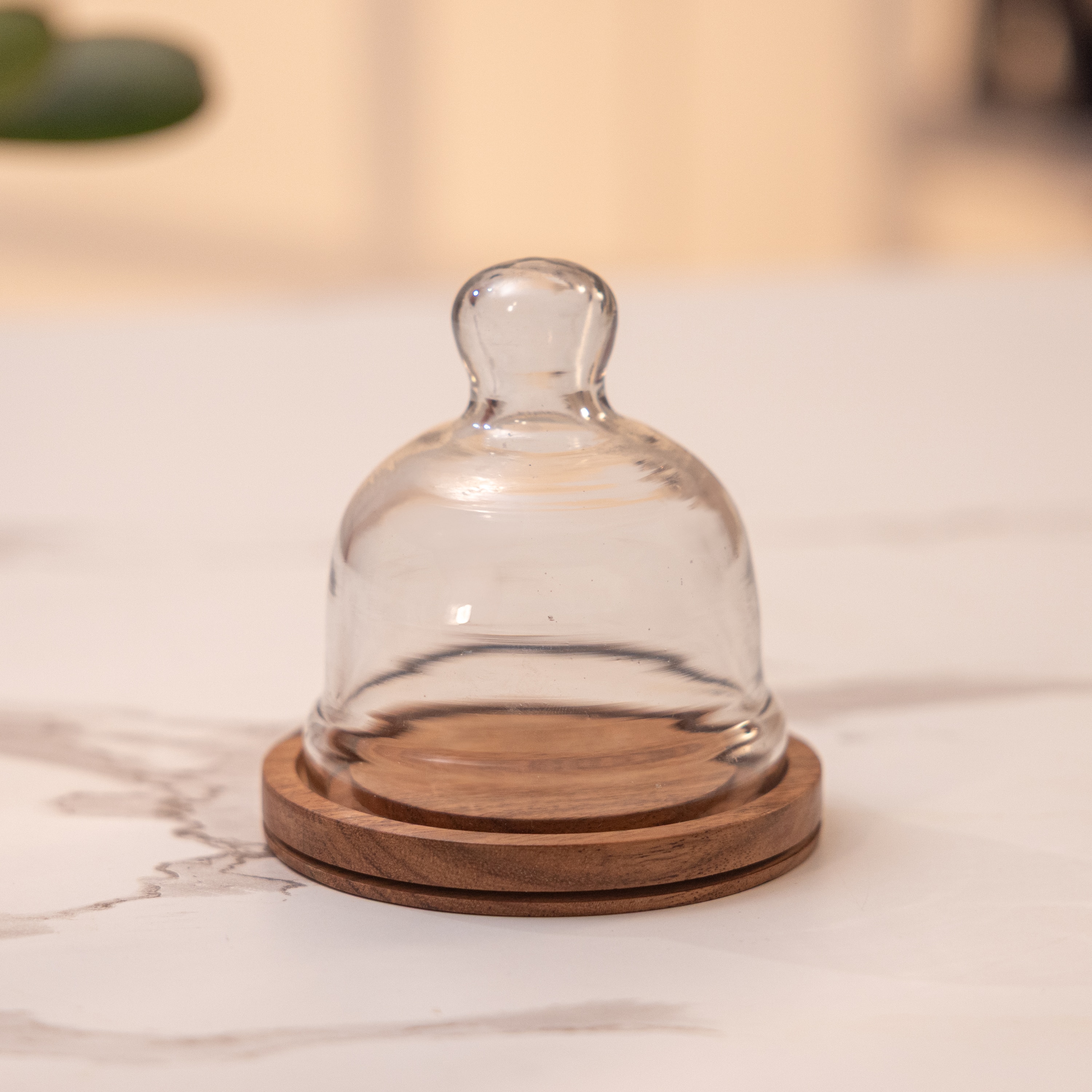 Ireka Homes Nibble Nest Acacia Wood Cake Stand with Glass Dome - Ireka Homes