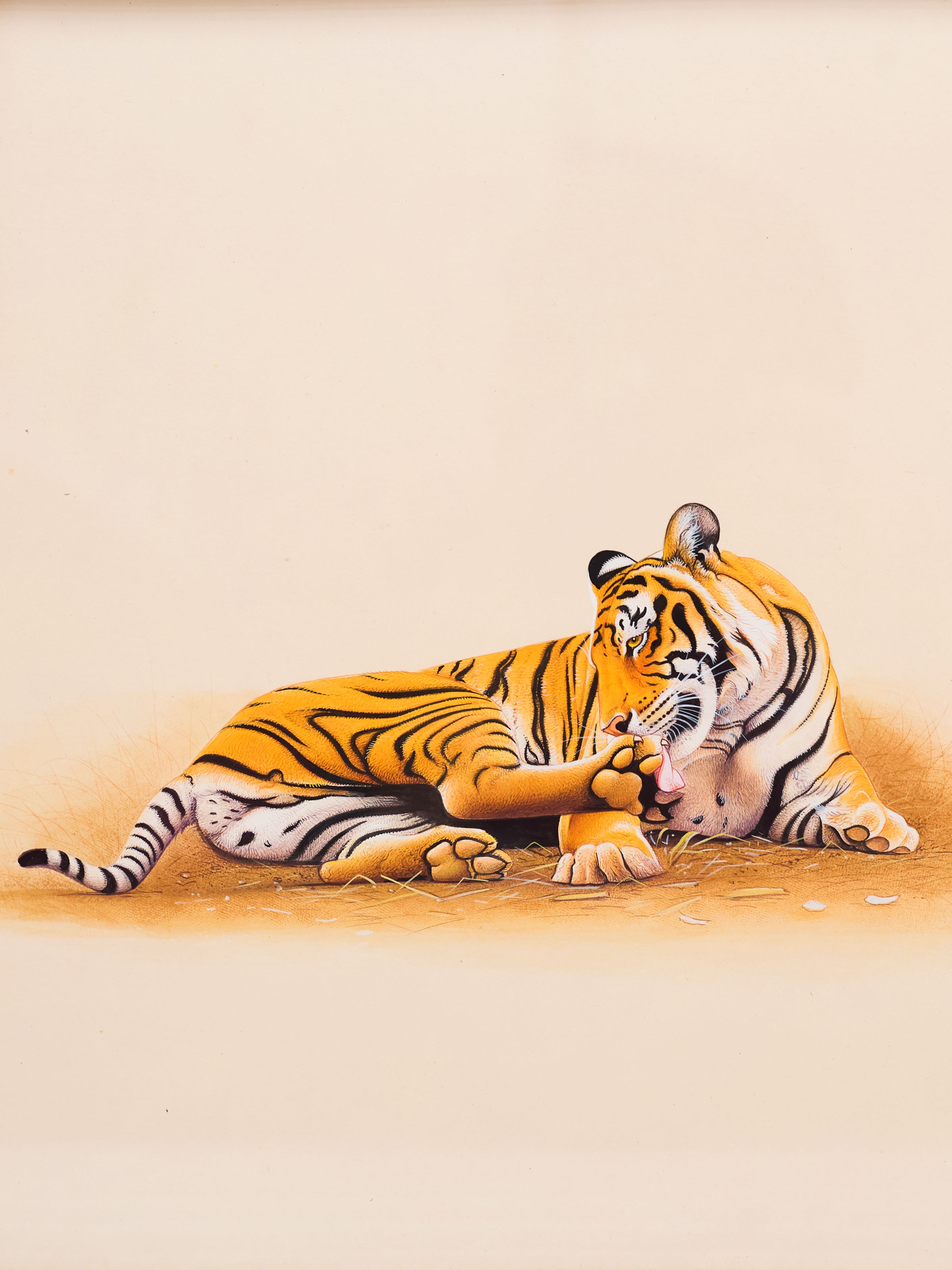Tiger Miniature Painting