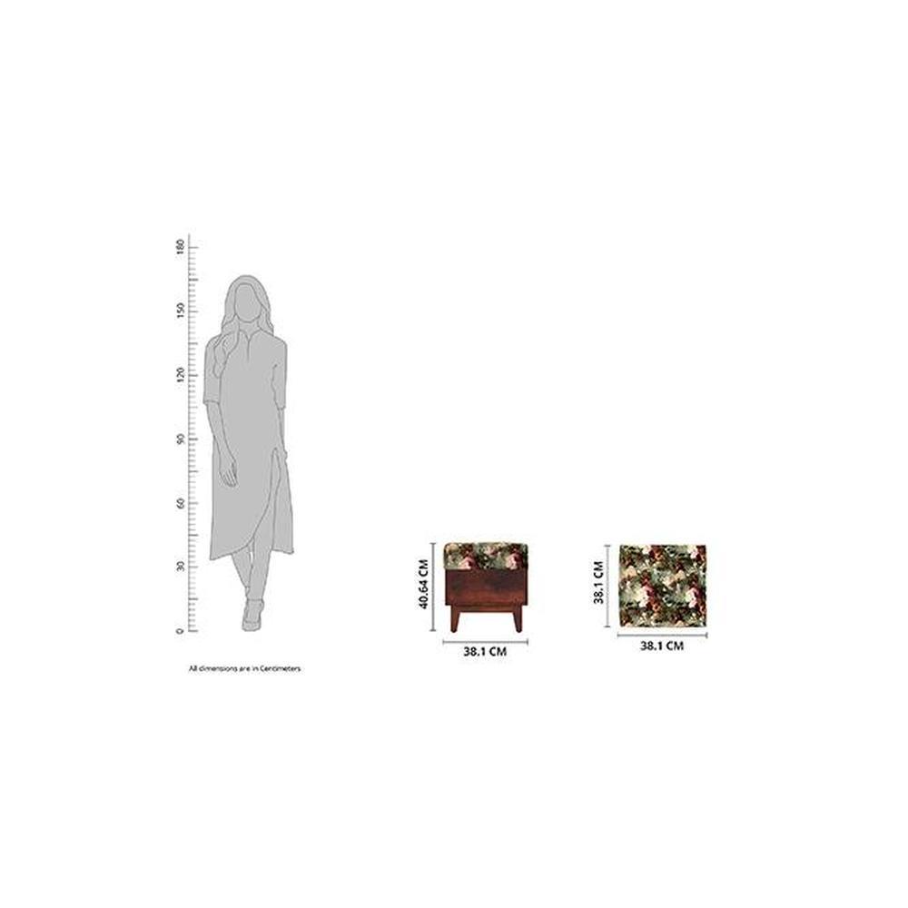 Olive Solid Wood  Ottomon in  Multicolor Colour