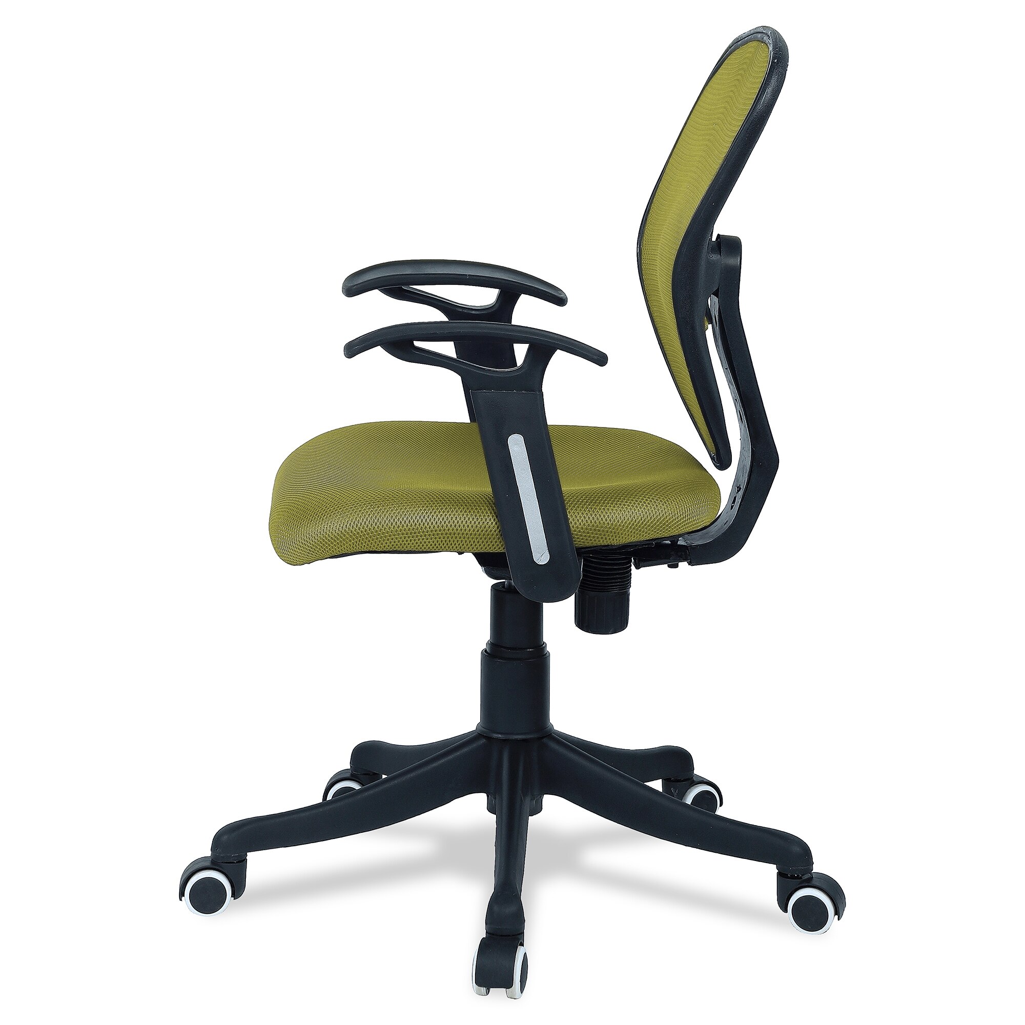 Aaeroa Low Back Ergonomic Chair in Pearl Green Colour