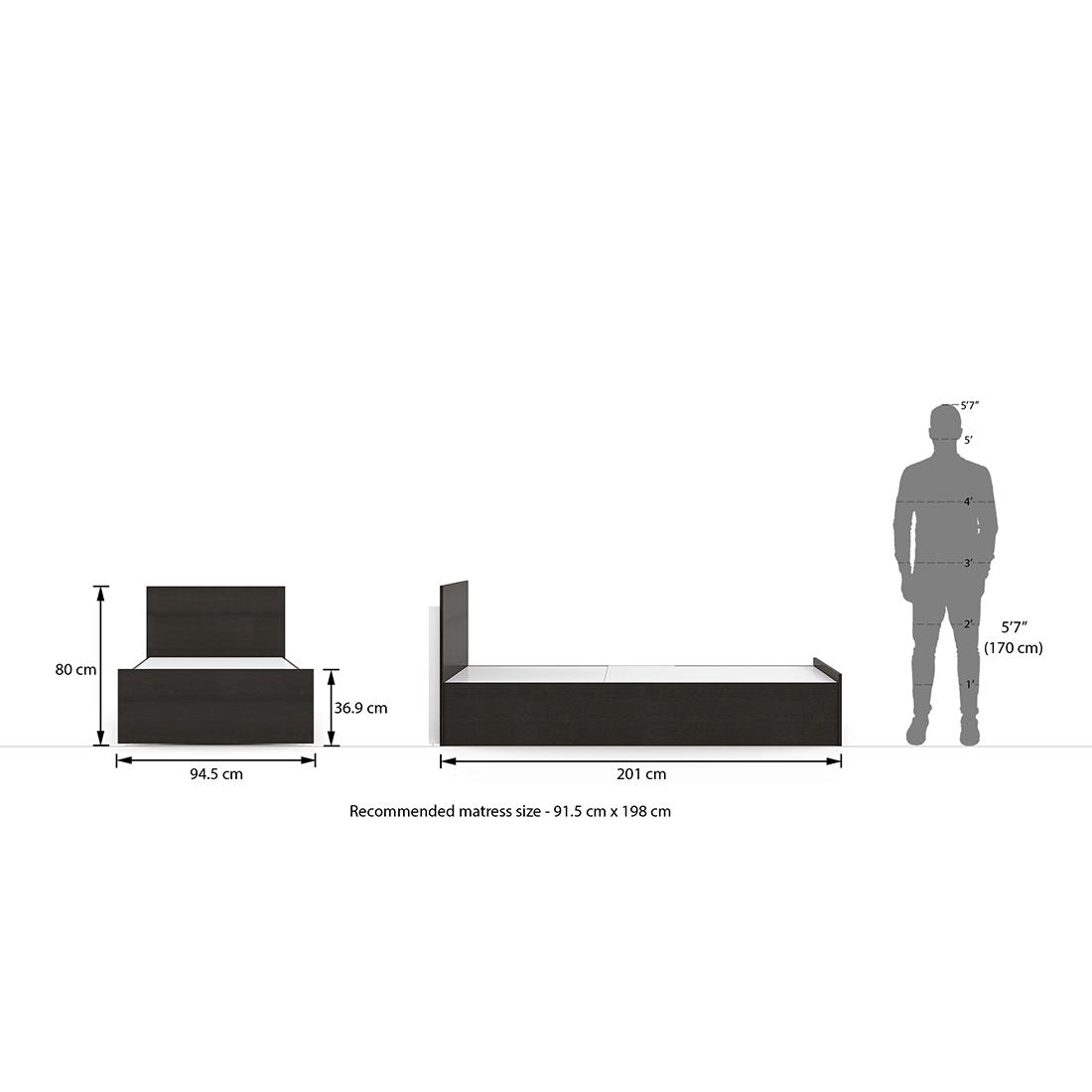 Wren Engineered Wood Single Size Box Storage Bed In Dark Wenge Finish