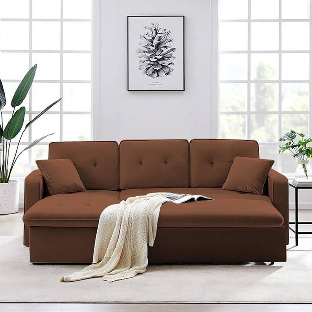 William  Pull Out Sofa cum Bed  in Brown Colour - Home Lifestylez