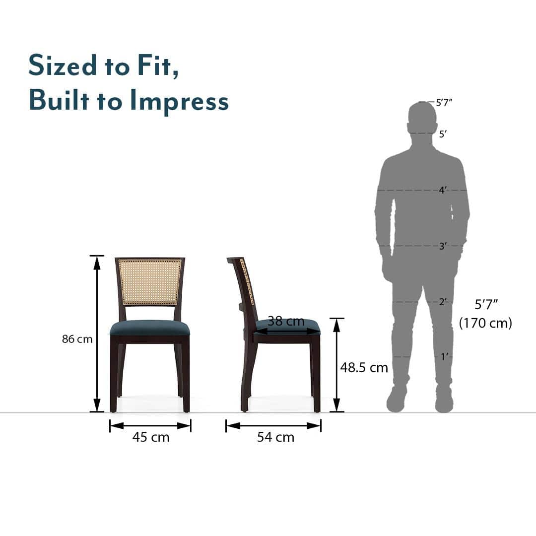 Argiro Solid Wood Dining Chair Set Of 2 In Mahogany Finish With Night Blue Velvet Fabric Colour