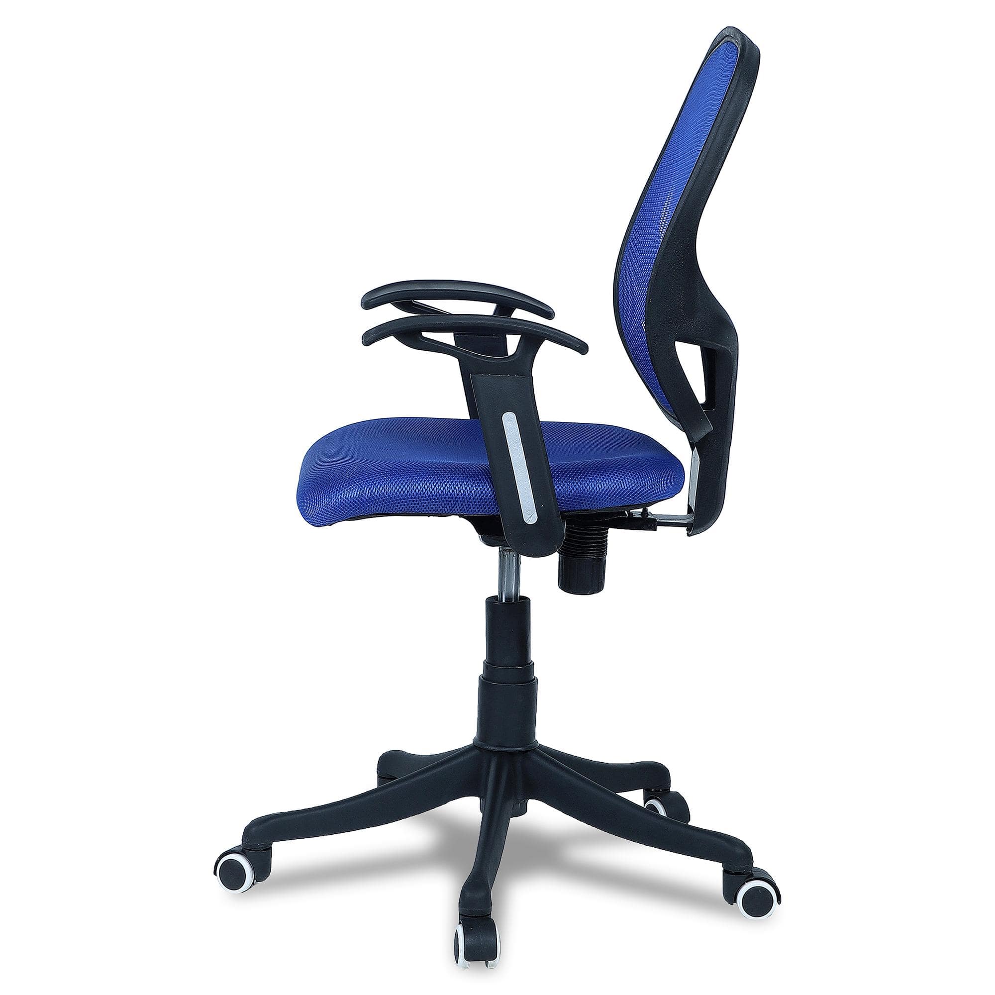 Goolda Low Back Ergonomic Chair in Blue Colour