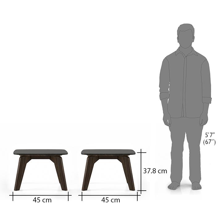 Galaxy Stone Side Table in American Walnut Finish