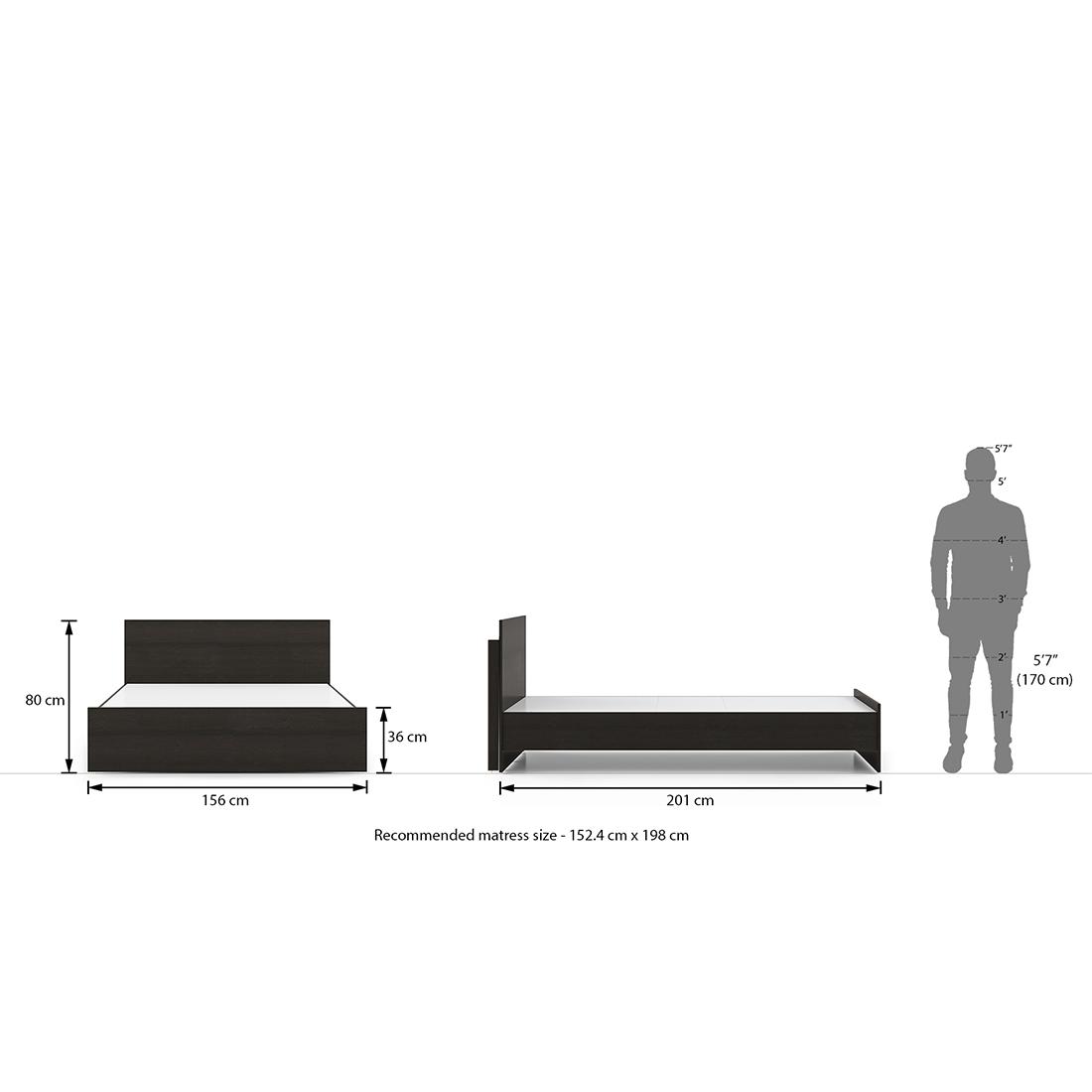 Wren Engineered Wood Queen Size Bed In Dark Wenge Finish