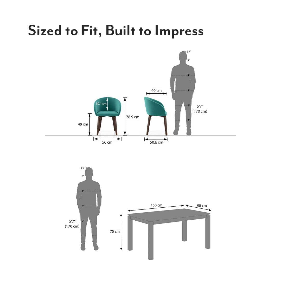 Atlas Solid Wood 6 Seater Compact Dining Table with 6 Meryl Lounge Chair