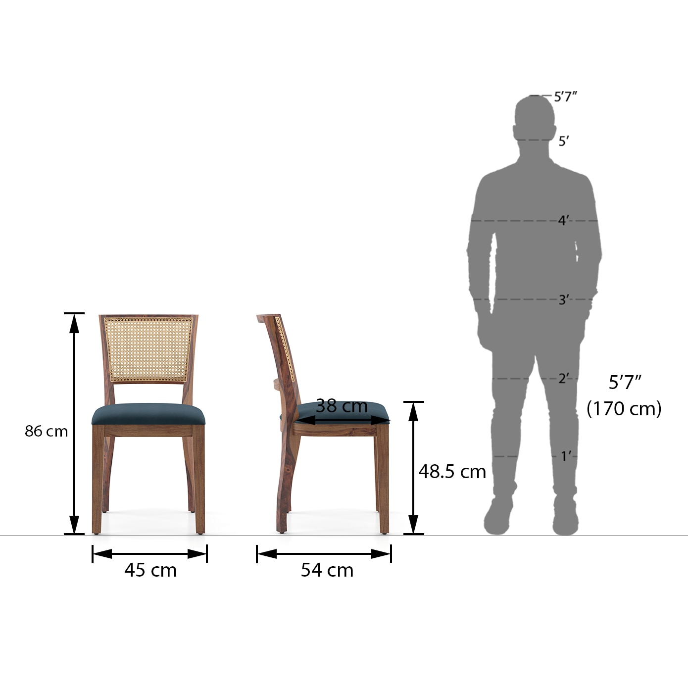 Argiro Solid Wood Dining Chair Set Of 2 In Teak Finish & Night Blue Velvet Fabric Colour