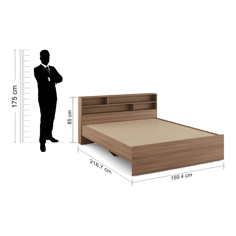 Knox Engineered Wood Queen Size Non Storage Bed In Exotic Teak Finish