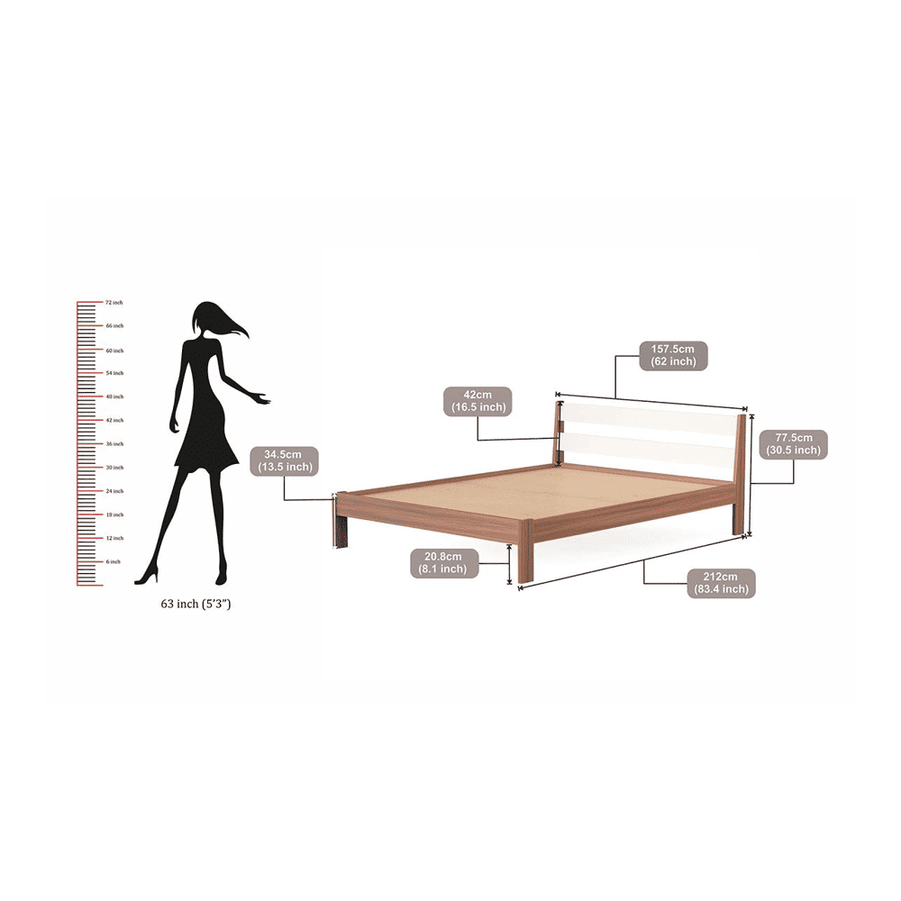 Roverb Engineered Wood Queen Size Non Storage Bed In Walnut & White Finish