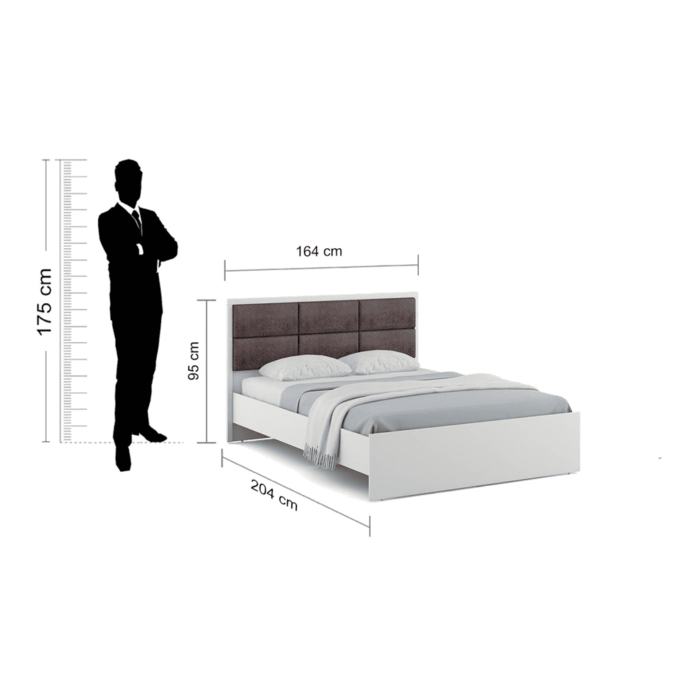 Axel Engineered Wood Queen Size Non Storage Bed In Frosty White Finish