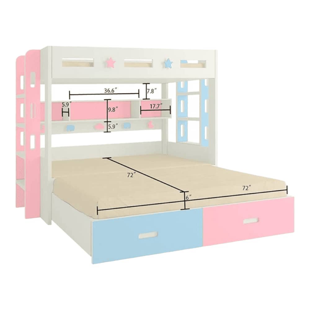 Astra Engineered Wood Box & Drawer Storage Bunk Bed English Pink Sky Blue