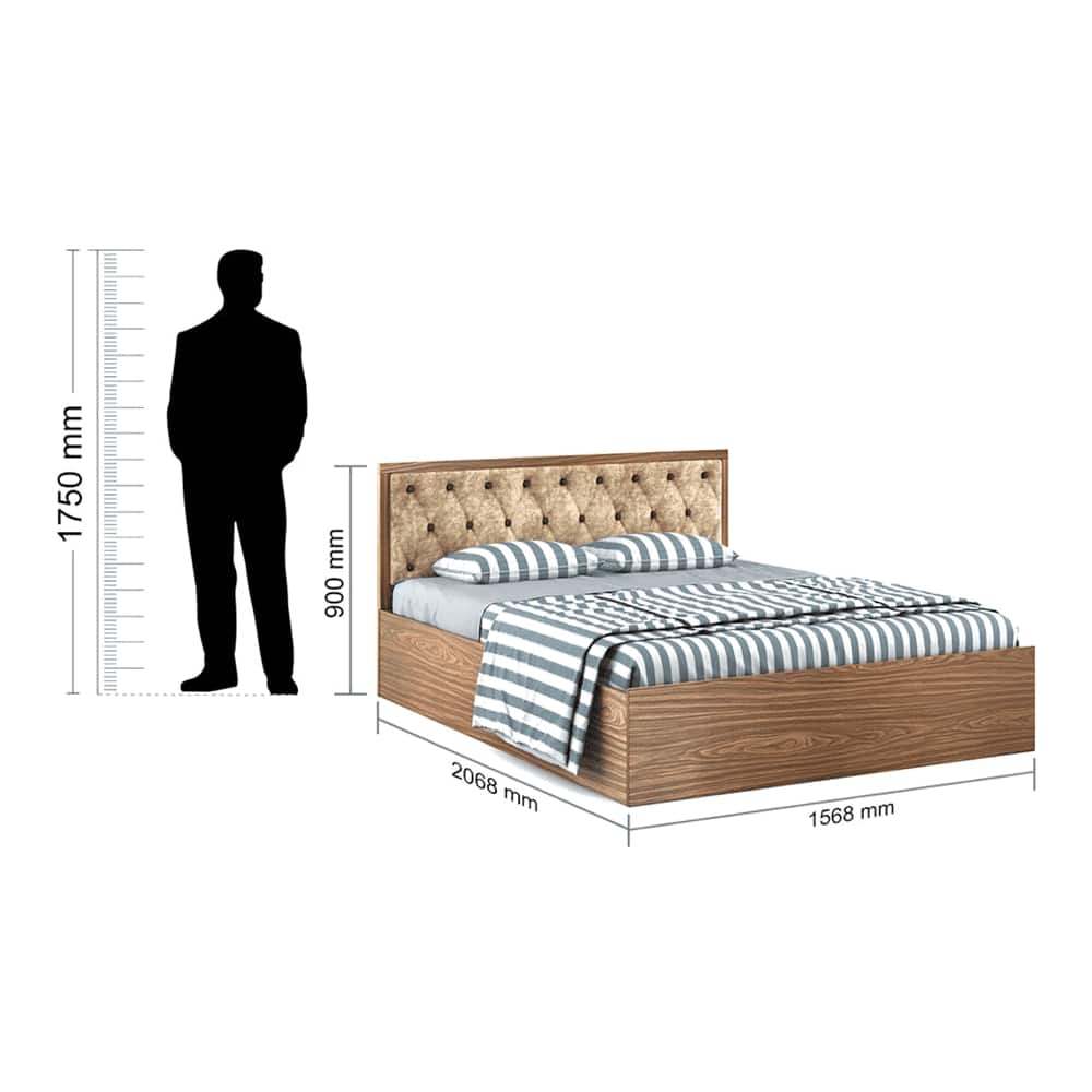 Orion Queen Bed With Box Storage