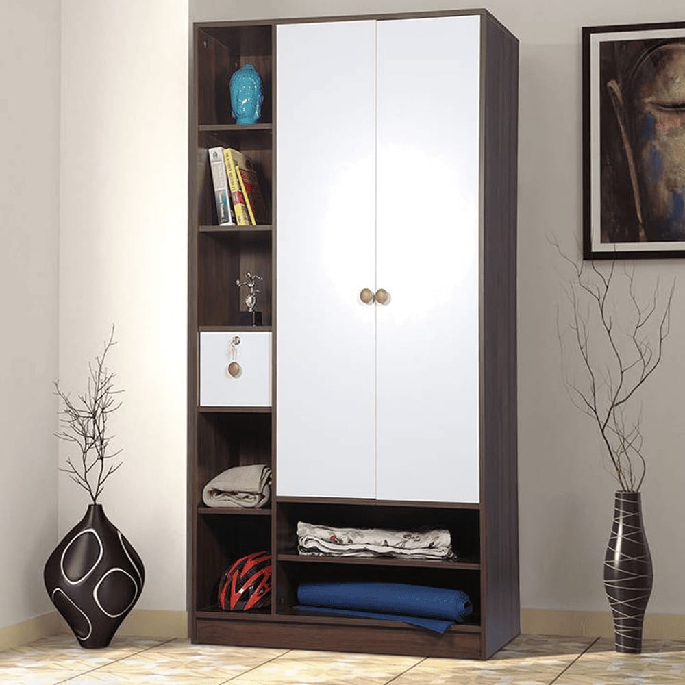 Allie Engineered Wood 2 door Wardrobe in Matte Finish
