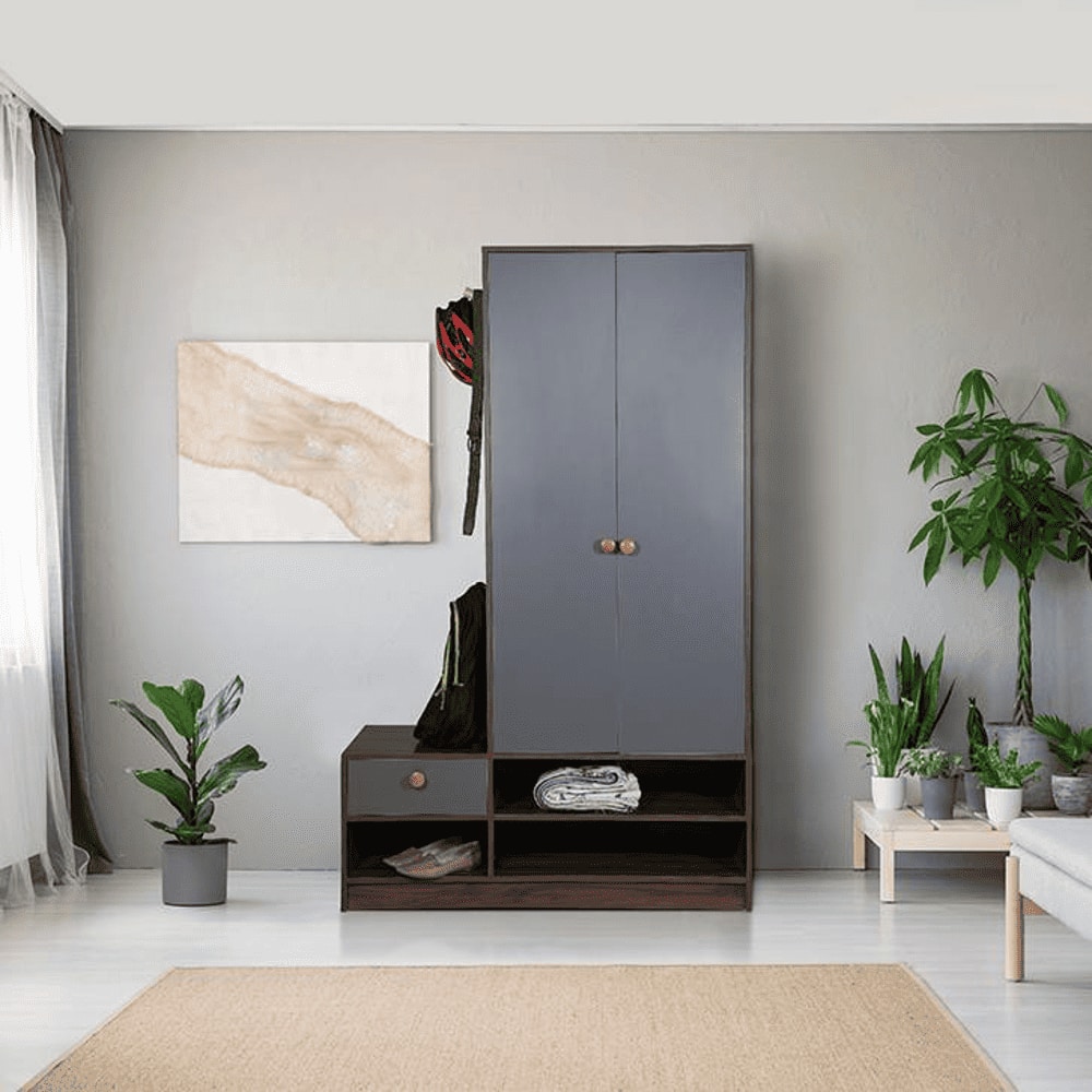 Gareth Engineered Wood 2 door Wardrobe in Matte Finish