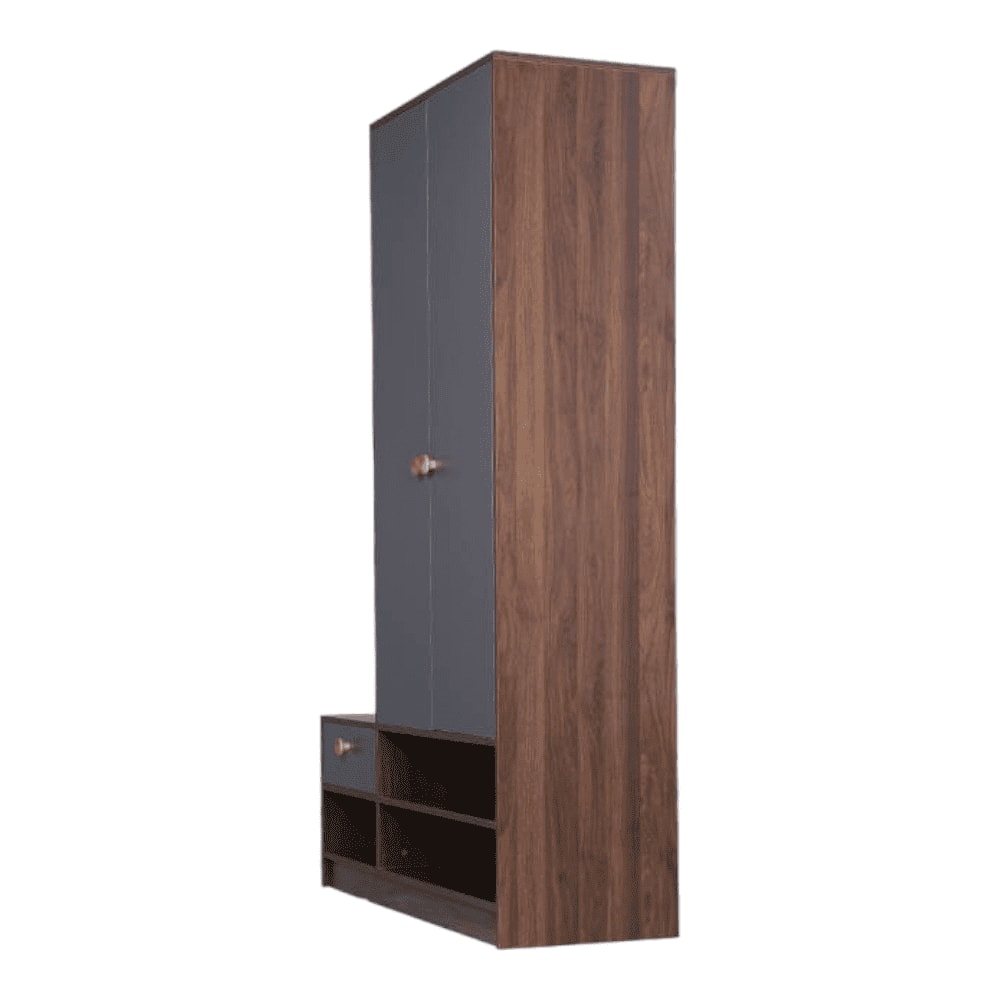 Gareth Engineered Wood 2 door Wardrobe in Matte Finish