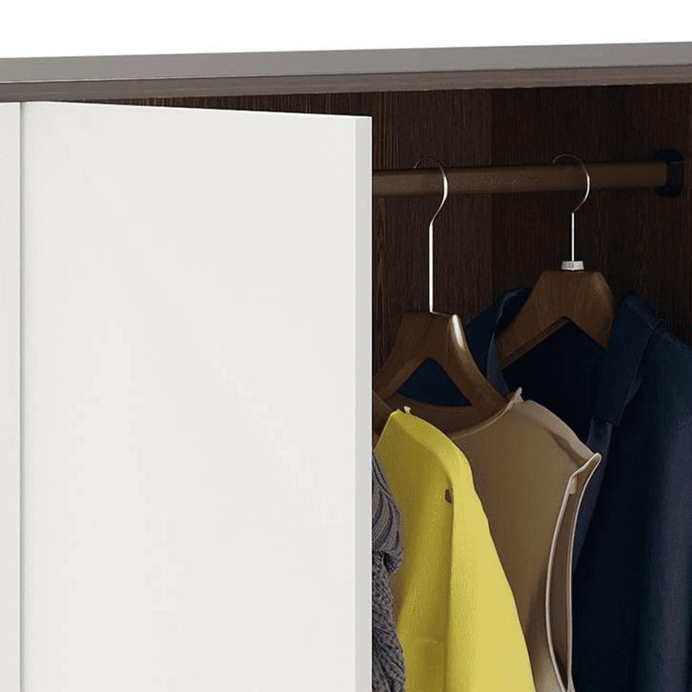 Bluewud Andrie 4 Door Wardrobe with Drawer (Wenge & Frosty)