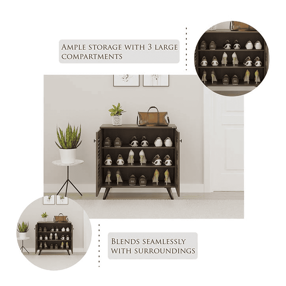 Carlem 2 Door Free Standing Engineered Wood Shoe Rack in Wenge Finish