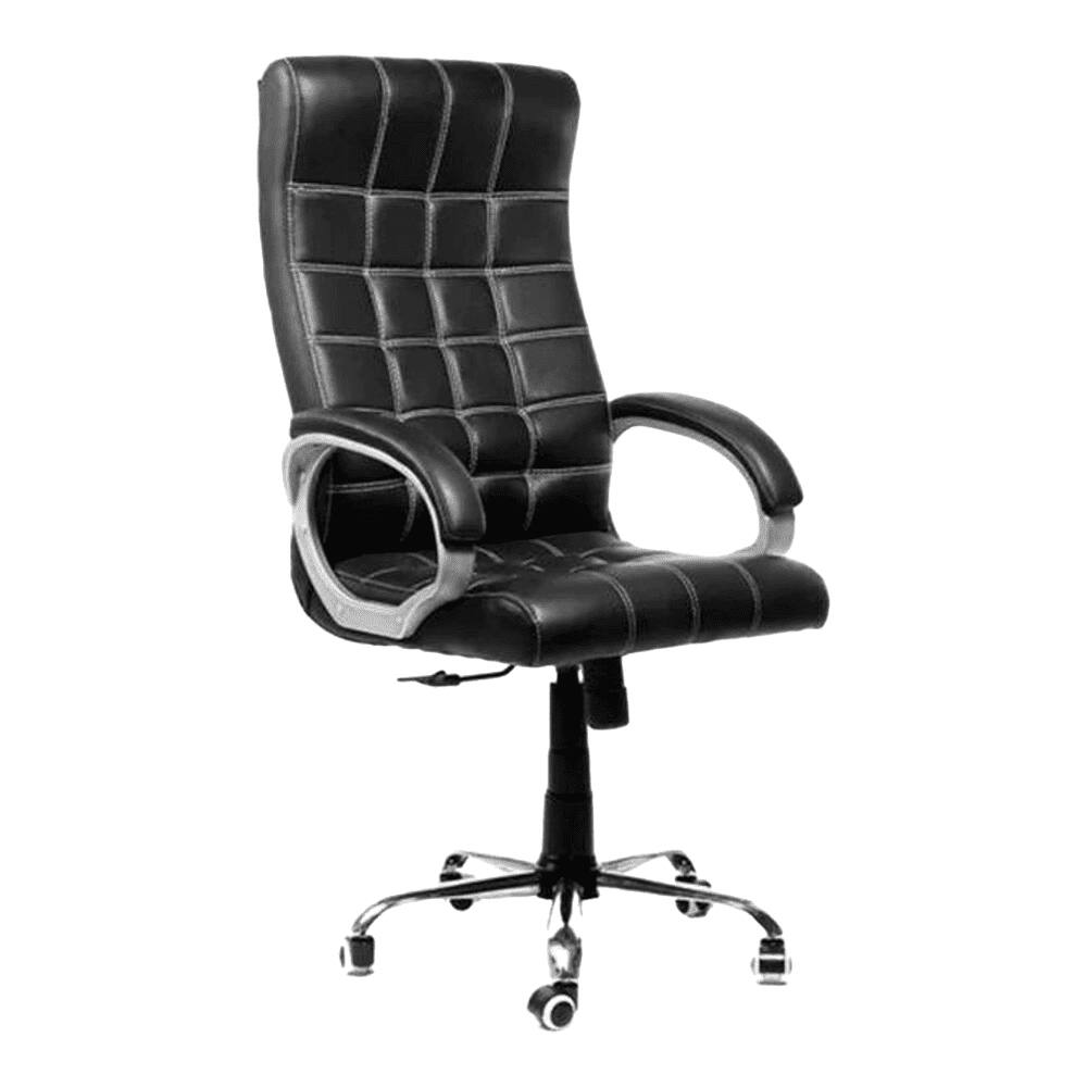Danica Ergonomic chair