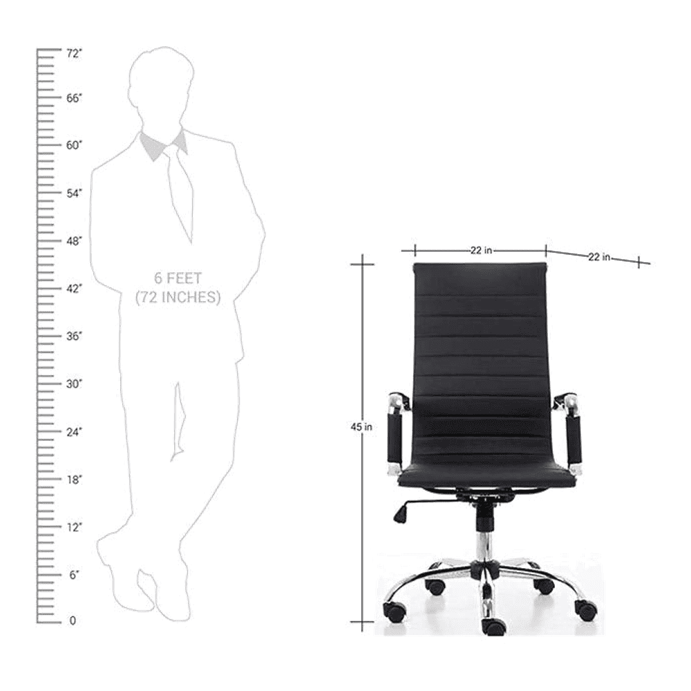 Asha Ergonomic chair