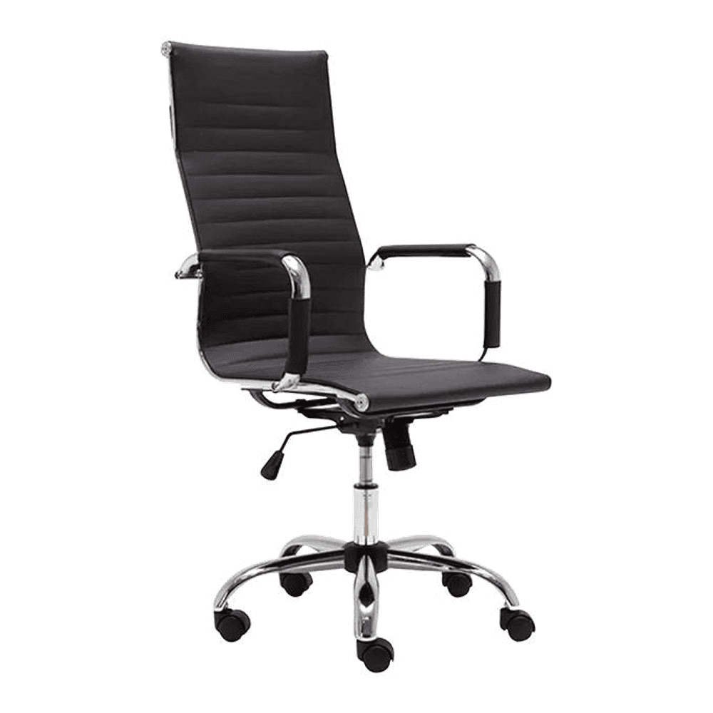 Asha Ergonomic chair