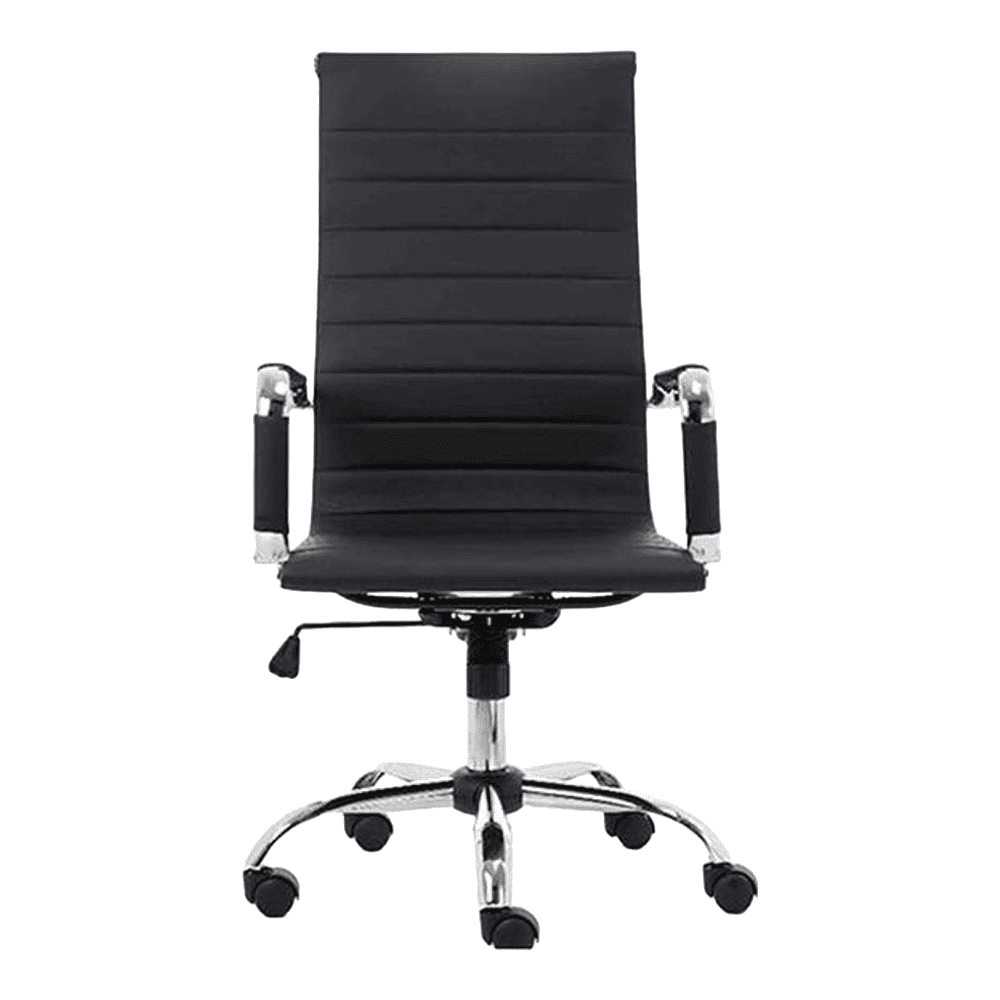 Asha Ergonomic chair