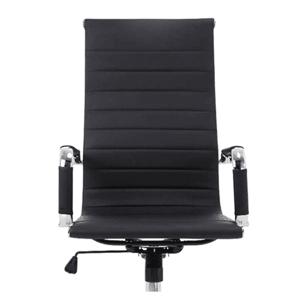 Asha Ergonomic chair