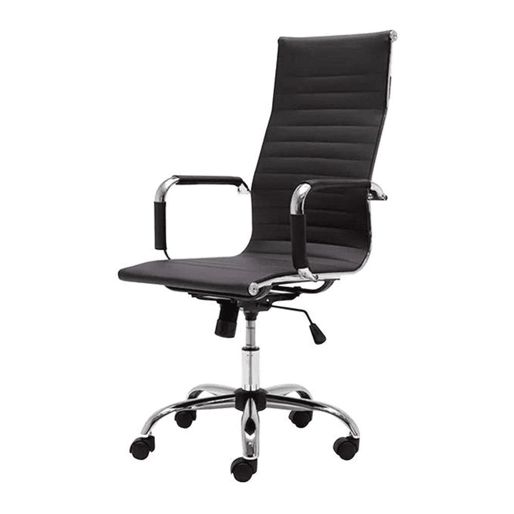 Asha Ergonomic chair