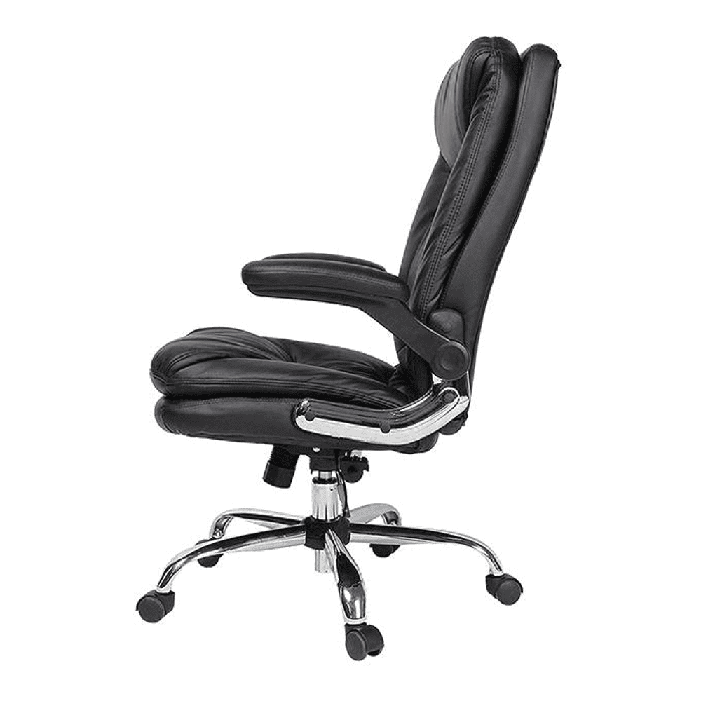 Ziva Ergonomic chair