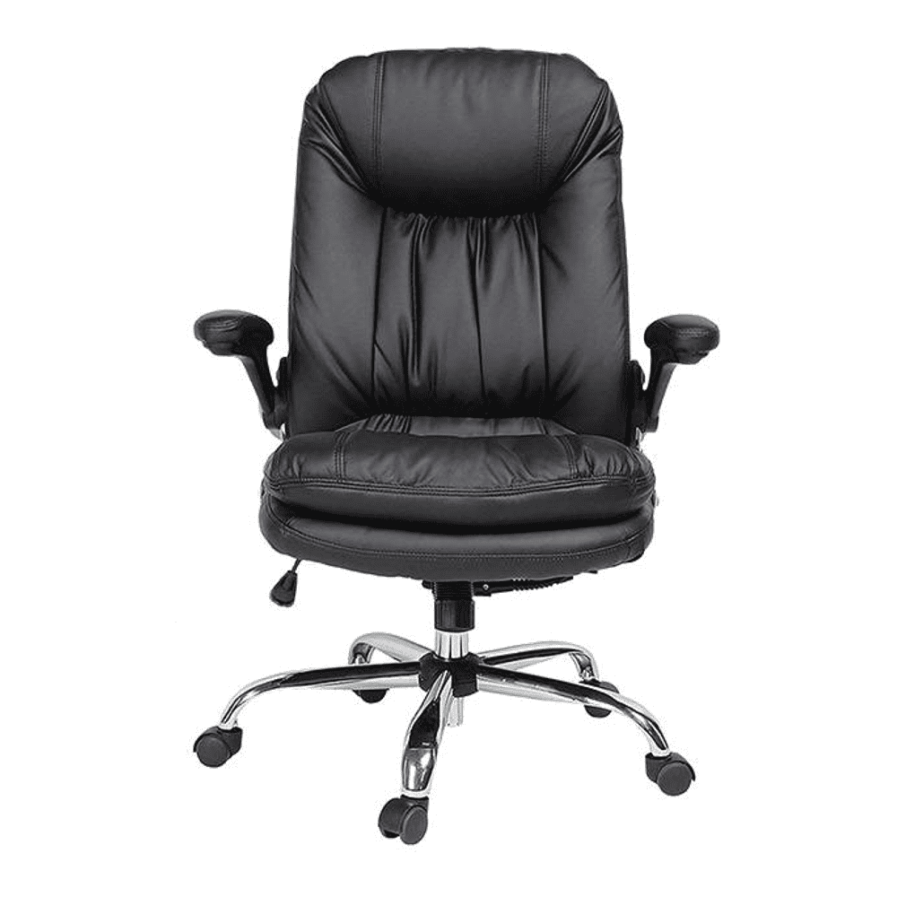 Ziva Ergonomic chair
