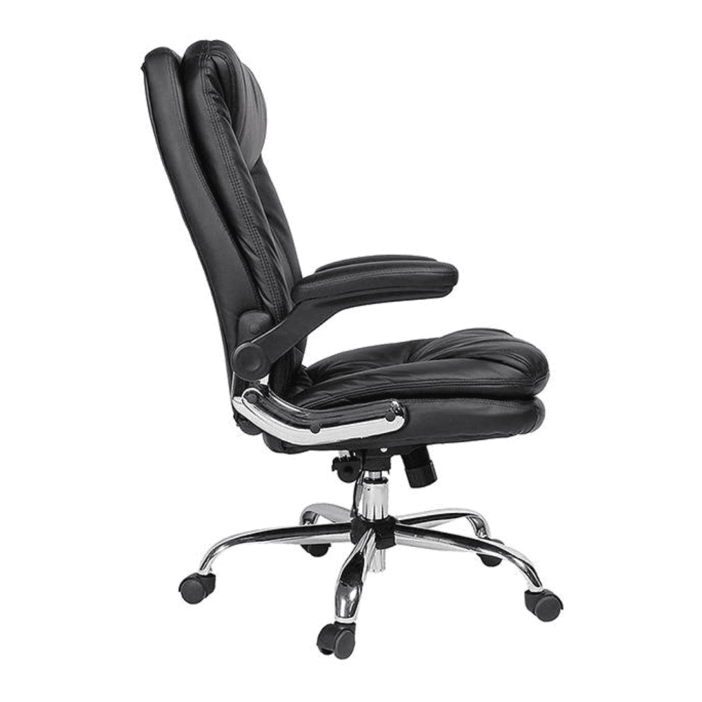 Ziva Ergonomic chair
