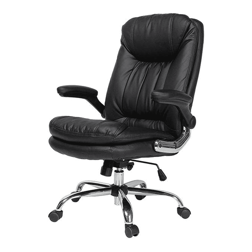 Ziva Ergonomic chair