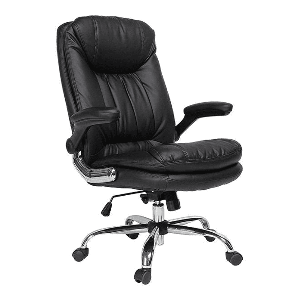 Ziva Ergonomic chair