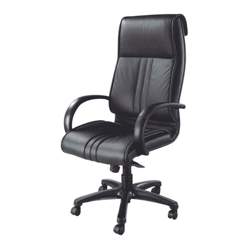 Akila Ergonomic chair