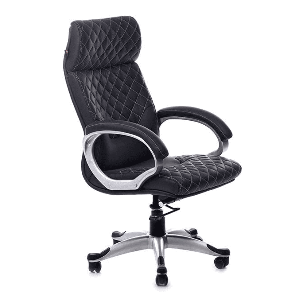 Asta Ergonomic chair
