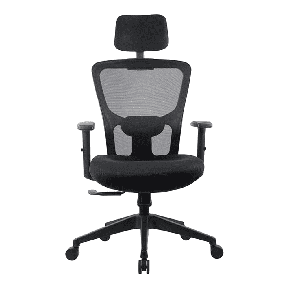 Ergonomic Net Swivel Study Chair in Black Colour